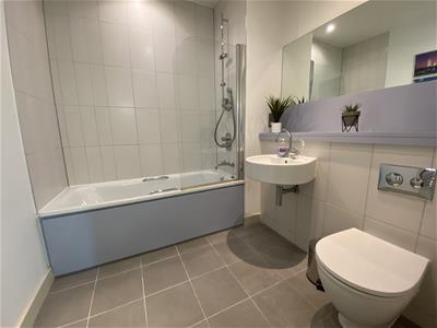 Picture 16
